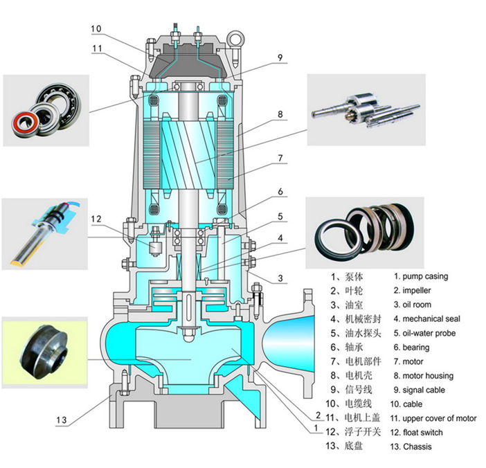 大东海泵业不锈钢排污泵结构图