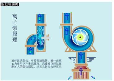 大东海泵业离心泵原理图