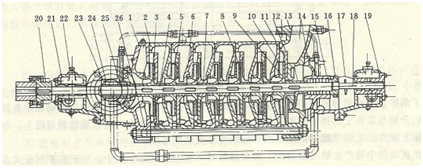 大东海泵业多级离心泵结构图3