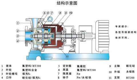 大东海泵业氟塑料磁力泵结构示意图