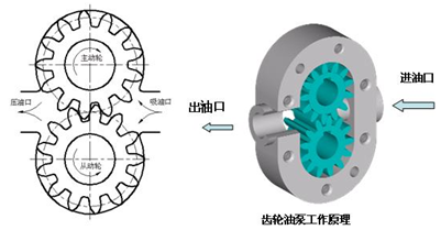 齿轮泵结构原理图