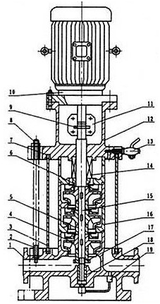 大东海泵业GDL泵结构图