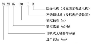 大东海泵业zw泵型号意义