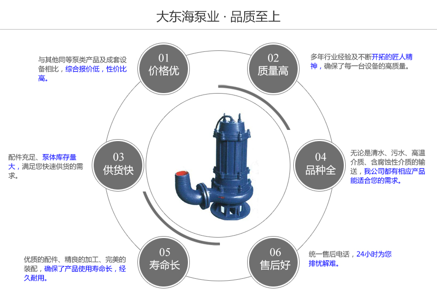 大东海泵业QW型潜水泵质量保证图
