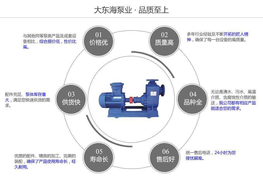 大东海泵业自吸式排污泵质量保证图