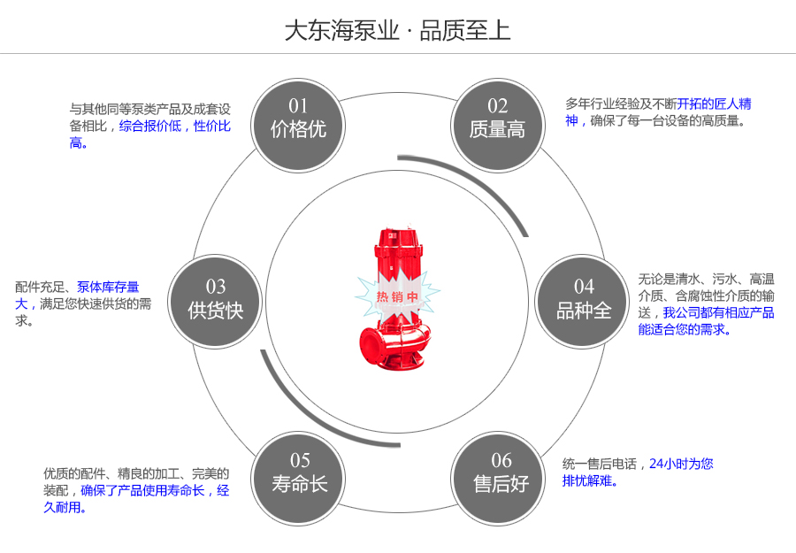 大东海泵业耐高温排污泵质量保证图