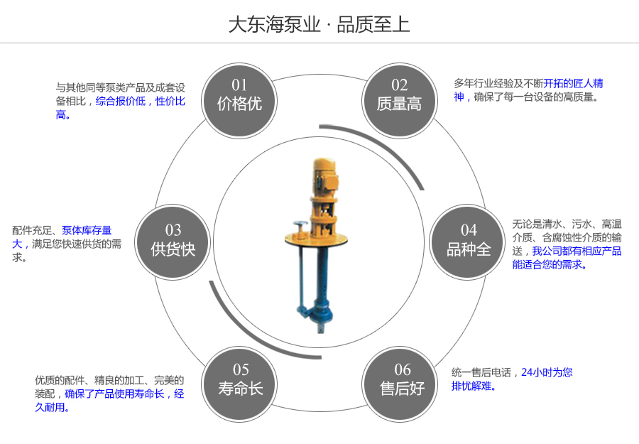 大东海泵业耐腐蚀液下泵质量保证图