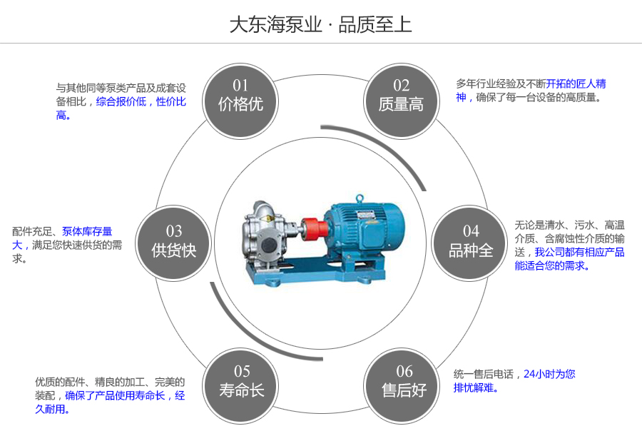大东海泵业不锈钢齿轮泵质量保证图