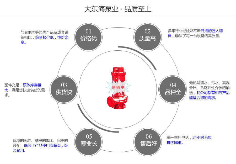 大东海泵业耐高温污水泵质量保证图