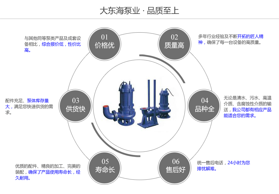 大东海泵业工程污水泵质量保证图