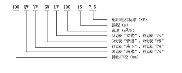 排污泵型号意义图